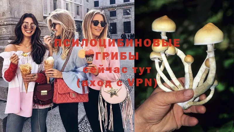 Галлюциногенные грибы Magic Shrooms  дарнет шоп  Комсомольск 