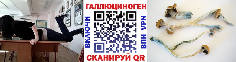 Псилоцибиновые грибы MAGIC MUSHROOMS  сайты даркнета формула  Комсомольск  сколько стоит 